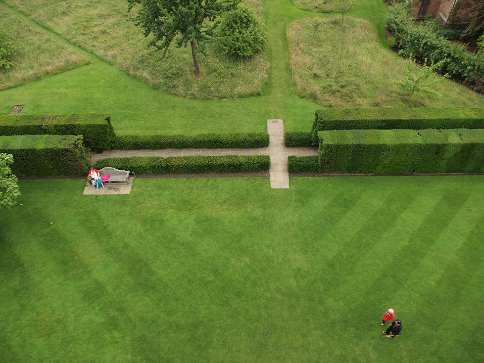 LAWN, Fine Art Print by Studio5land