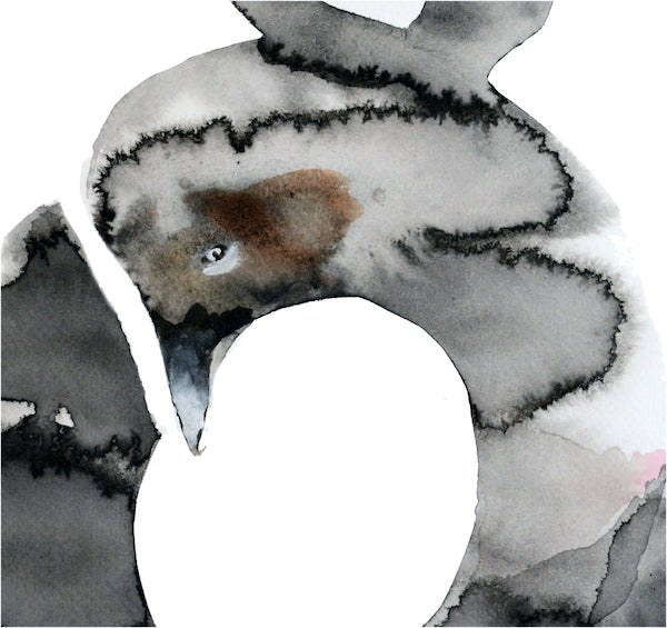 Bird Eye