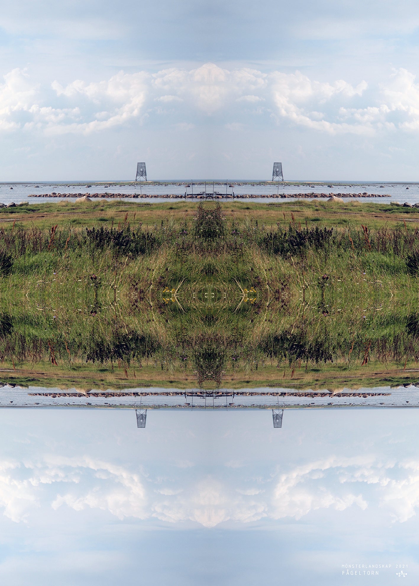 BIRD TOWER - a patterned landscape