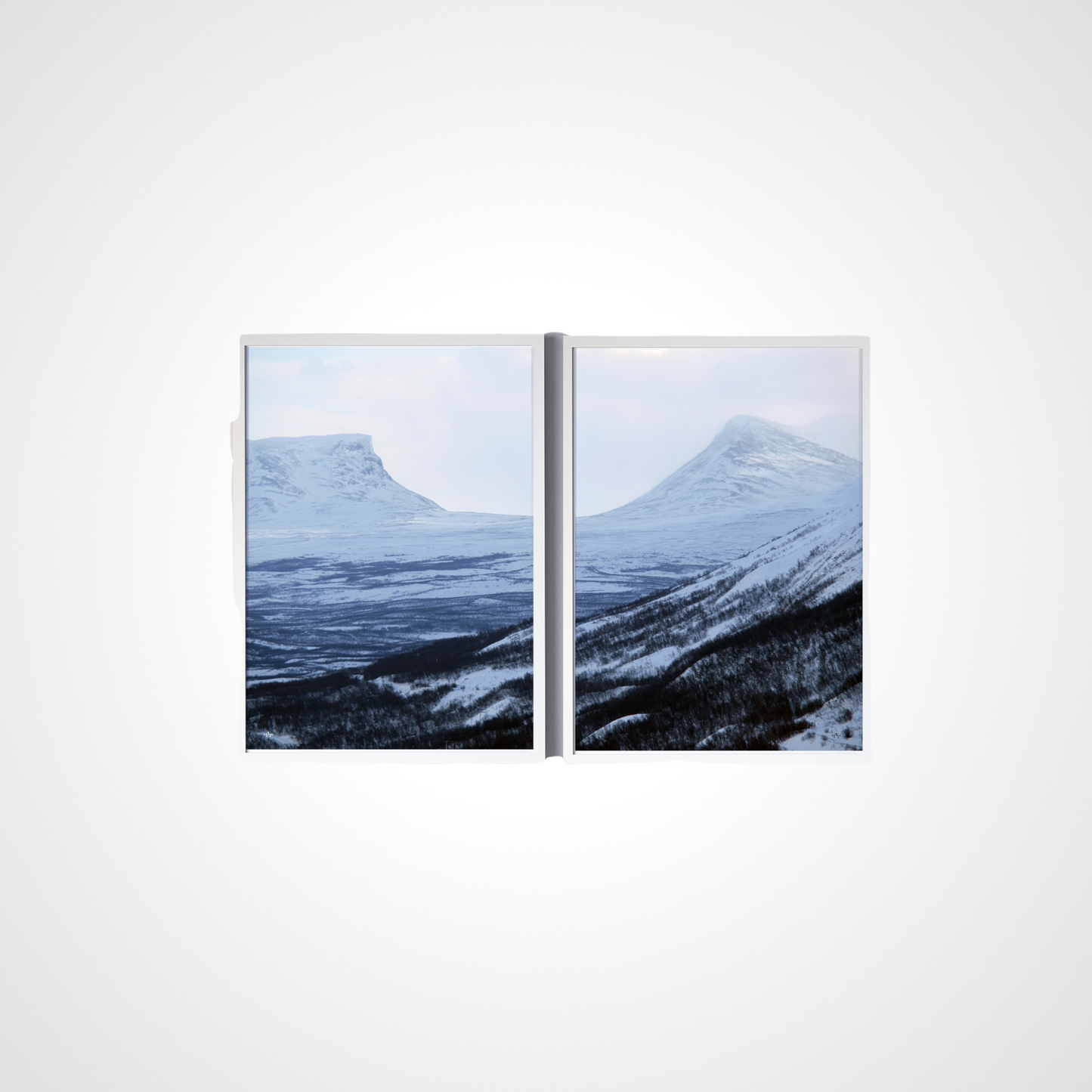 SNÖPORTEN I och II - Poster 50 x 70 cm