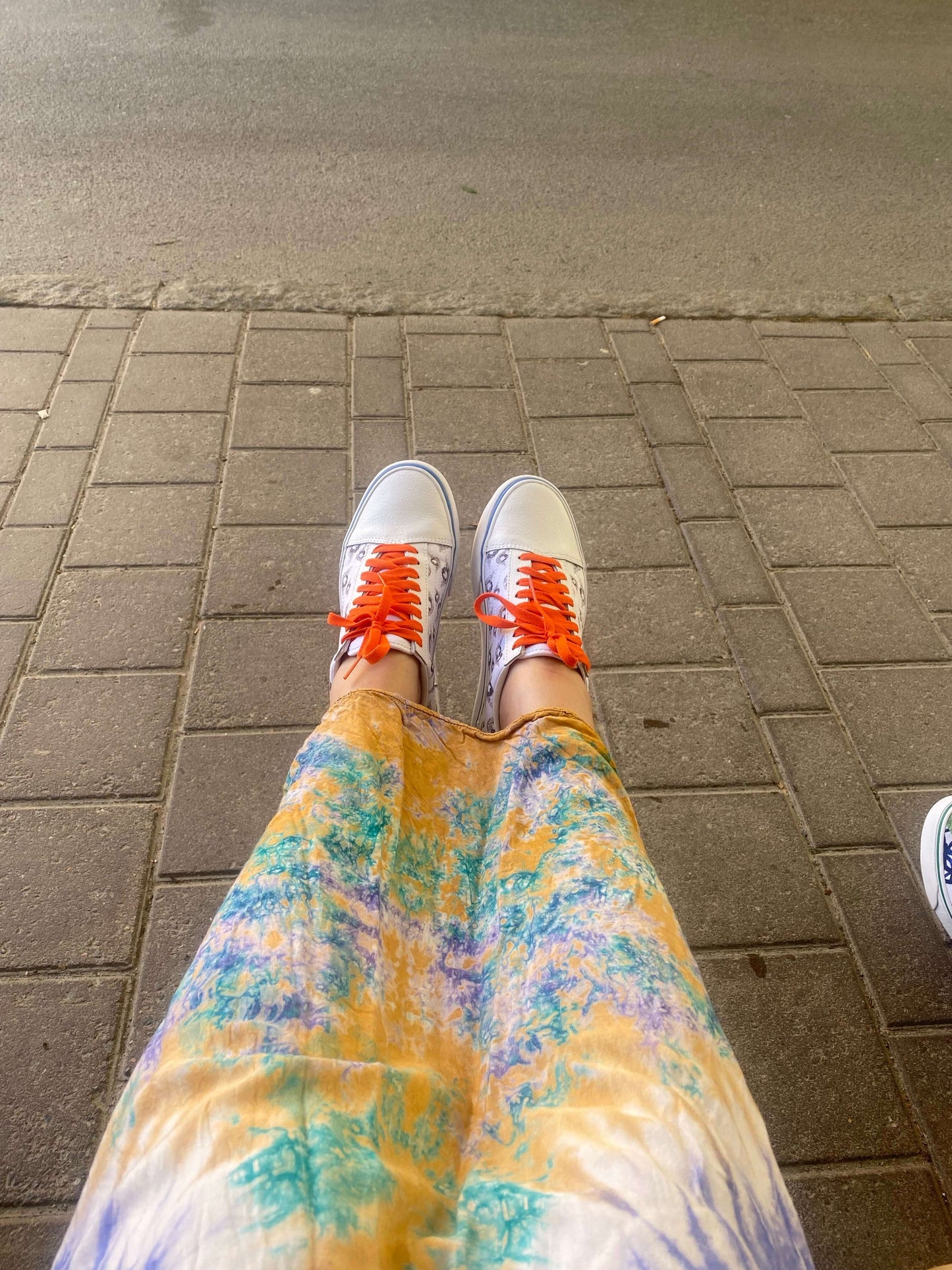 AngelDog - Sneakers Vans