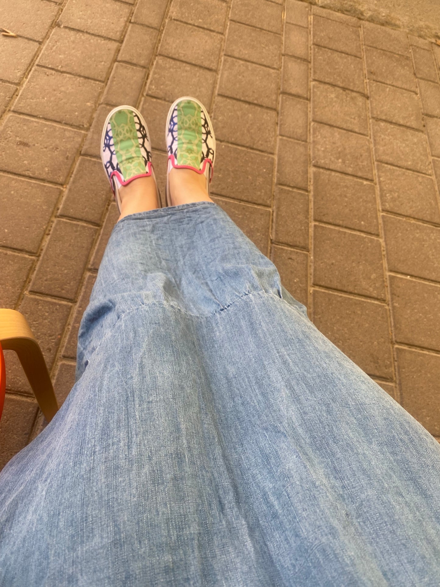 Slip-on Vans - Plymhöken och Mantelfalken