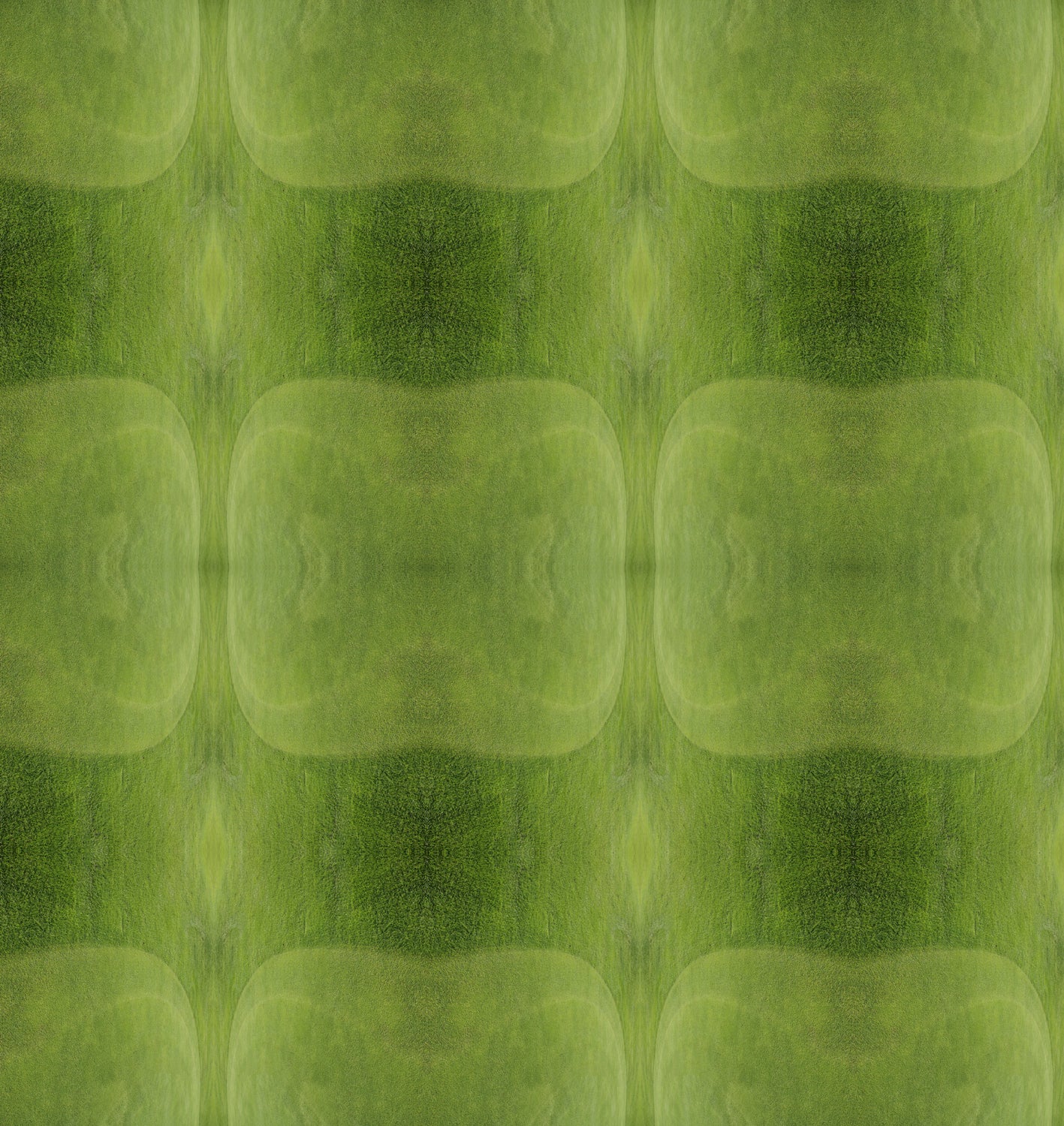 LAWN, Fine Art Print by Studio5land