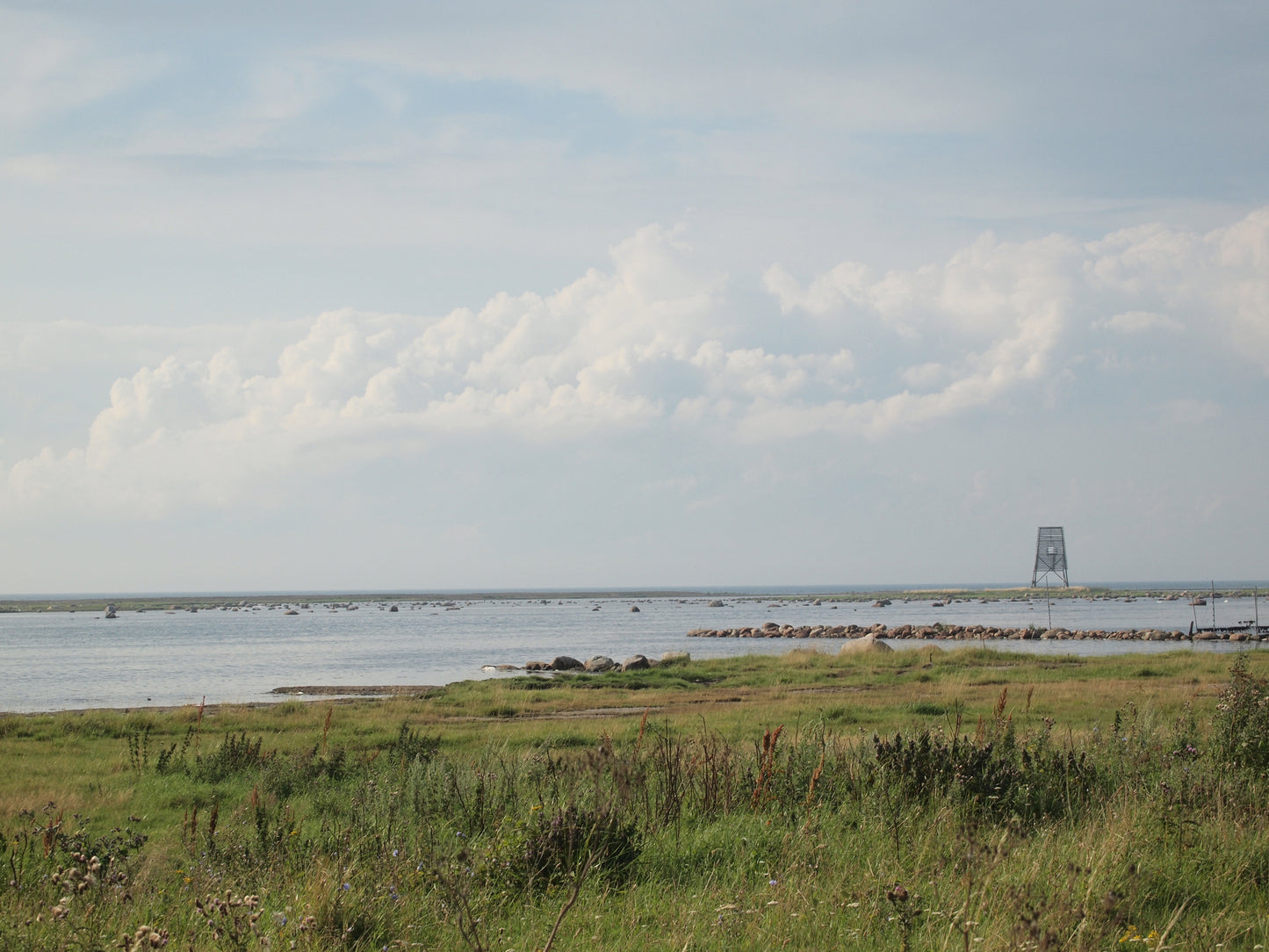 BIRD TOWER - a patterned landscape