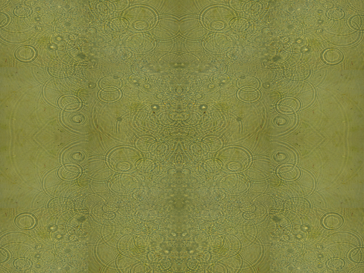 ÉTANG, Fine Art Print by Studio5land
