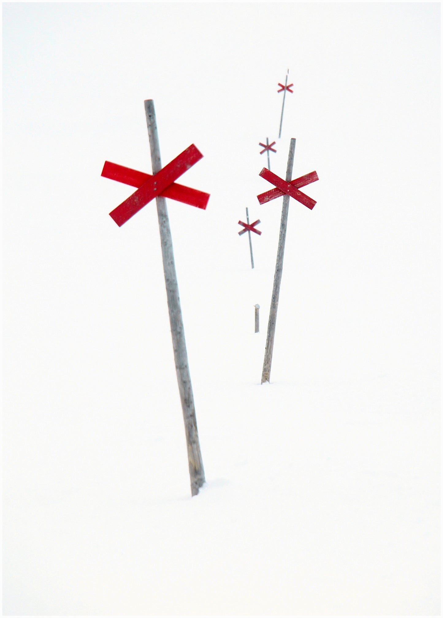 SNÖMÄRKE - Poster 50 x 70 cm