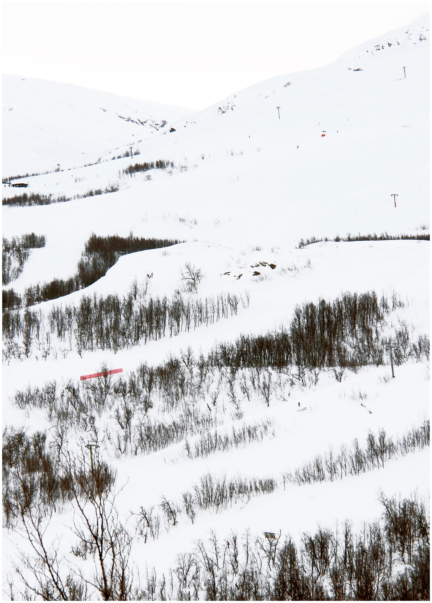 SNÖSLÄNT - print 50 x 70 cm