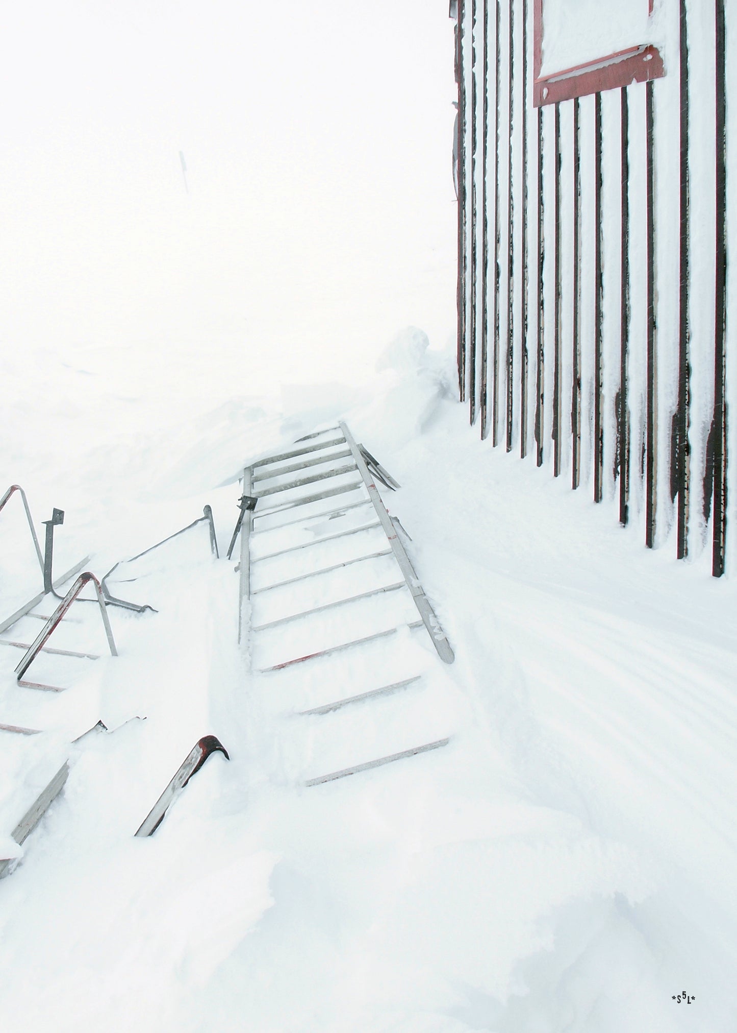 SNOW LADDER - Poster 50 x 70 cm