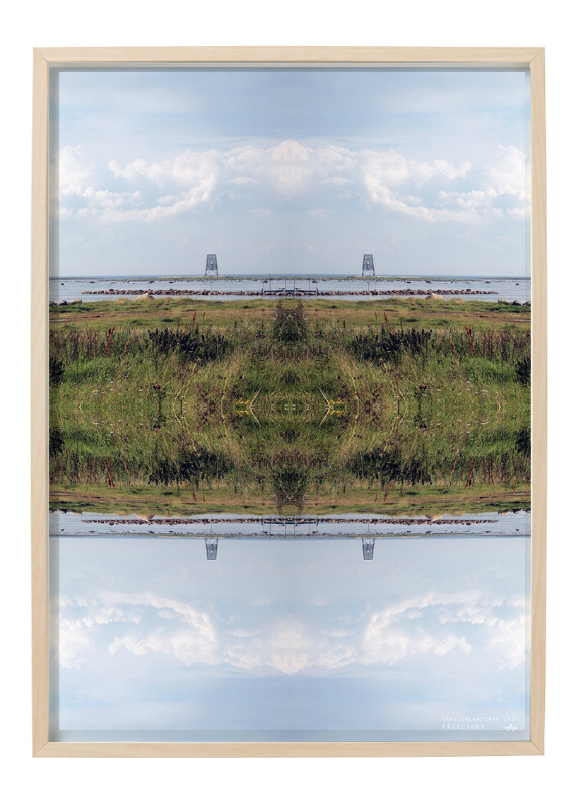 BIRD TOWER - a patterned landscape