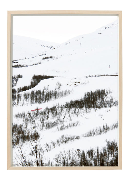 SNÖSLÄNT - poster 50 x 70 cm