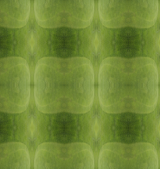 LAWN nr 1, Fine Art Print by Studio5land