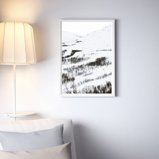 SNÖSLÄNT - poster 50 x 70 cm